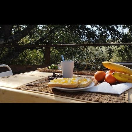 Cabana Del Arbol Lavagarural Villanueva del Rosario Екстериор снимка