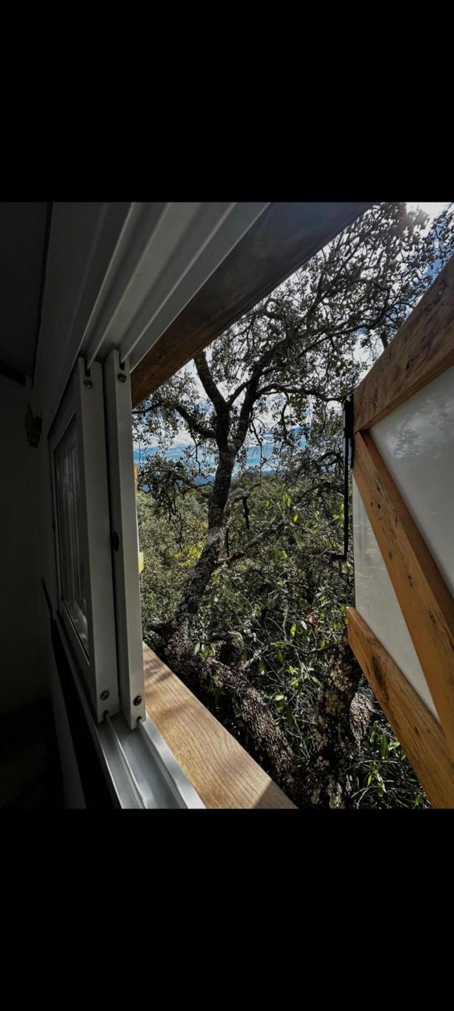 Cabana Del Arbol Lavagarural Villanueva del Rosario Екстериор снимка