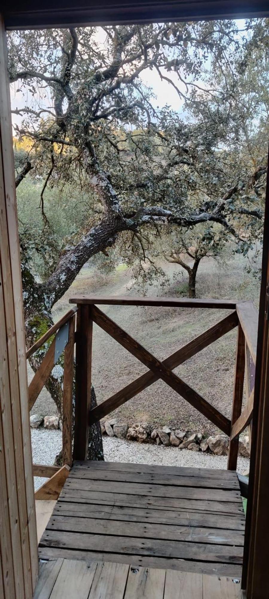 Cabana Del Arbol Lavagarural Villanueva del Rosario Екстериор снимка